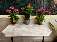 Charmant appartement 3 pieces avec terrasse - Monaco Ville 150m du Palais sur le Rocher - B&B Monte-Carlo