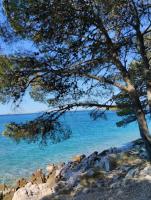 Seabreeze Mustel Apartment in Drage - Adults Only - B&B Drage