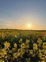 Fredensgaard nær Billund - B&B Jordrup