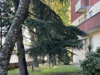 Jabu Studio WiFi Gigabit Fiera Rho Milano City - Ferienwohnung Mailand