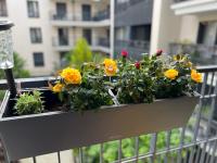 Sérénité totale : appartement ensoleillé - B&B