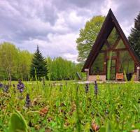 B&B Plužine - Woodland Brezna - Bed and Breakfast Plužine