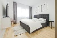B&B Iasi - Himson-Grey Apartment - Bed and Breakfast Iasi
