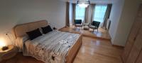 Apartamento Superior de 1 dormitorio