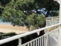 Jolie T2 à Arcachon - Parking, WiFi, Proche Plage - FR-1-374-3 - Chambres d’hôtes
