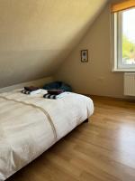Habitación Doble Estándar con baño compartido