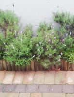 Bachelor cottage STRICTLY HALAAL Garlandale Rondebosch East - B&B Città del Capo