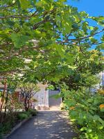 Apartman Adriatic Pavlinovic - Makarska - B&B Macarsca