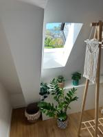 La Mansarda sul Mare - B&B Montesilvano