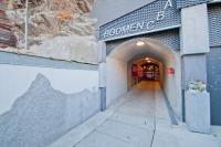 Haus Bodmen C, Apartment Anemone - B&B Zermatt