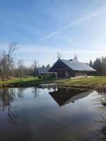 Kuuse metsamaja - B&B