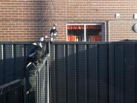 Cottage with Piano, Books & Games in the Hunter - B&B Singleton