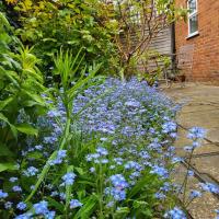Cheerful, cosy, one bedroom home with patio and parking - Bed and Breakfast
