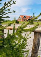 Lawendowy Domek - Bed and Breakfast
