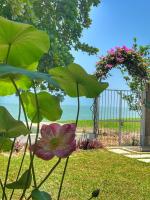 B&B Batu Feringgi - Smell rose beach garden - Bed and Breakfast Batu Feringgi