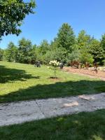 La joie de vivre - B&B South Haven