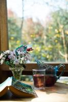 Adelaide Hills Camellia Cottage Wifi - Chambres d'hôtes Crafers
