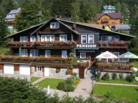 Pension Švýcarský dům Špindlerův Mlýn - B&B Špindlerův Mlýn