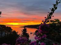 Old Stone House - Villa Mira - B&B Stari Grad