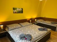 Tweepersoonskamer met Extra Bed