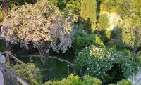 B&B Terni - Casa del Glicine - Bed and Breakfast Terni