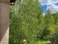 Picos de Europa Suites and Rooms - Ferienwohnung Turieno