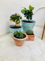 Maison de charme à 2 pas du centre historique - B&B Mesagne