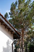 Pine and Olive Seahouse - Chambres d’hôtes Neo Chorio