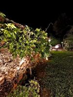 Villa con 3 Camere da Letto