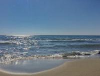 La Zattera appartamento vicino al mare - B&B