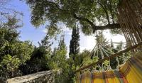La casa tra gli alberi e il cottage - B&B Fiskárdo