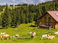 Chalet in Kärnten mit Sauna nahe Skipisten - B&B Weinebene