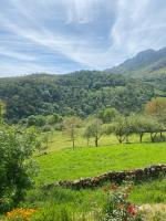 Triana - B&B Berodia