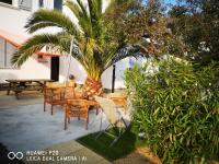 B&B Beauvoir-sur-Mer - Le chat bleu - Bed and Breakfast Beauvoir-sur-Mer