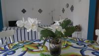 BlueMind Freedom - Bed and Breakfast