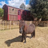 B&B Jouques - Séjour à la ferme - Bed and Breakfast Jouques