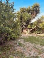 Agi's Apartment - B&B Alykes Potamou