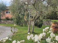 La Casa delle Rose - B&B
