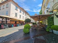 Relaxed escape in the old town - App Sviti Tour As - Ferienwohnung Ljubljana