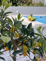 Holiday house Miki - B&B Kakma