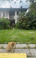 Il giardino di Emilia - Intero appartamento in villa con giardino privato e piscina estiva - B&B