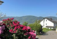 Ferienwohnung Rhein-Panorama - Bed and Breakfast