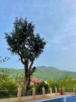 Panorama Studio with Sea, Mountain & Batumi Views Pet-Friendly - Ferienwohnung Batumi