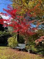 Morisset Cottage Blackheath - B&B Blackheath