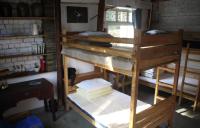 Bed in 4-Bed Mixed Dormitory Room