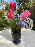oxford summertown retreat - B&B