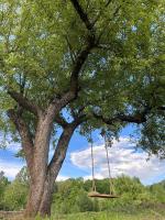 Pensiunea DolceVita - Bed and Breakfast