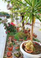 Appartamento bilocale tra Rimini e Riccione - B&B