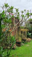 Kebun Puisi - B&B Kajang