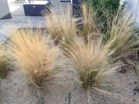 La Nantaise de la mer - B&B Saint-Hilaire-de-Riez